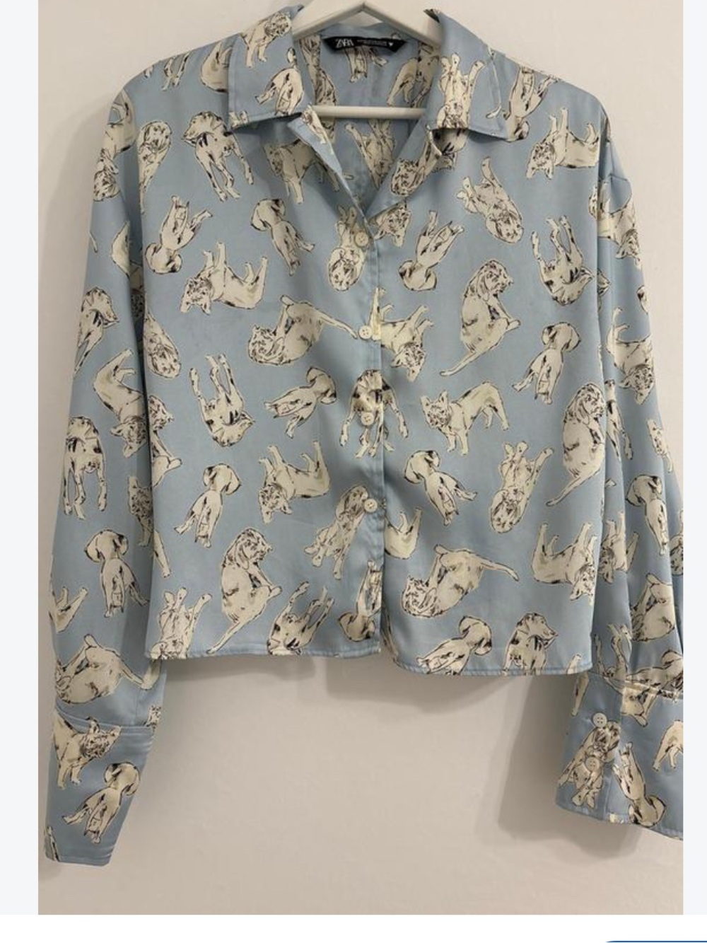 Zara Light Blue Dog-Print Button Down Shirt